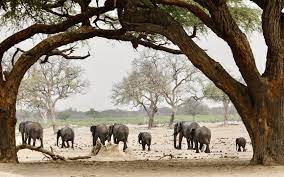 IL RESPIRO DELL'AFRICA